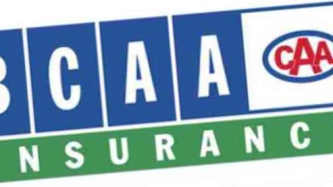 Should You Buy BCAA Life Insurance?