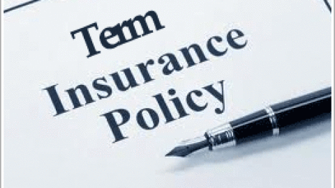 Where to Get an Affordable Term Life Insurance Quote