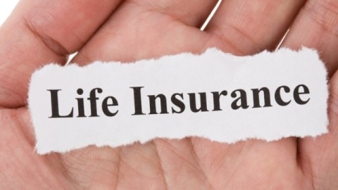 Life Insurance for Newbies – What is it?